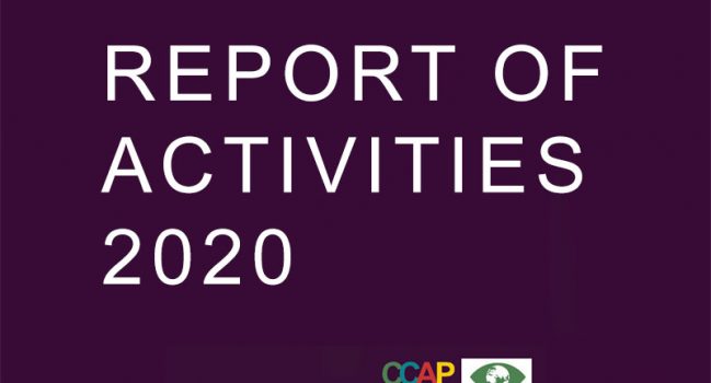 REPORT OF ACTIVITIES 2020