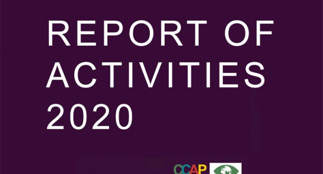 REPORT OF ACTIVITIES 2020