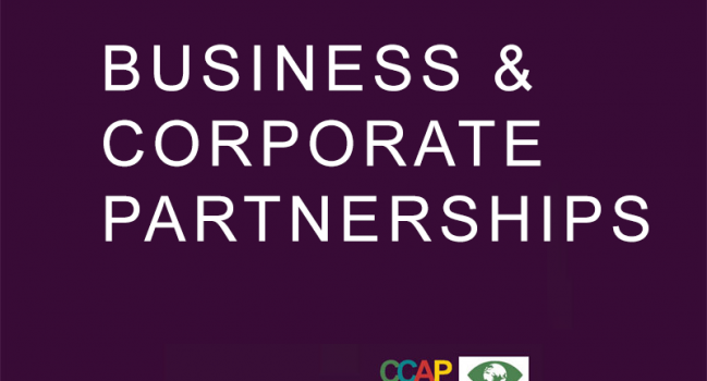 Business & Corporate Partnerships